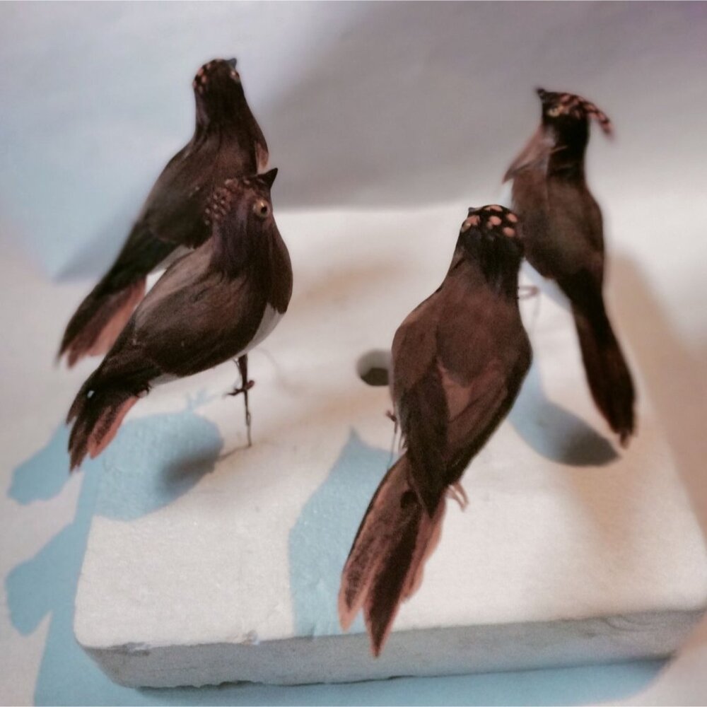 Decorative Tufted Birds Brown Orange Feathers Realistic Craft Display Lot 4 - Picture 5 of 14